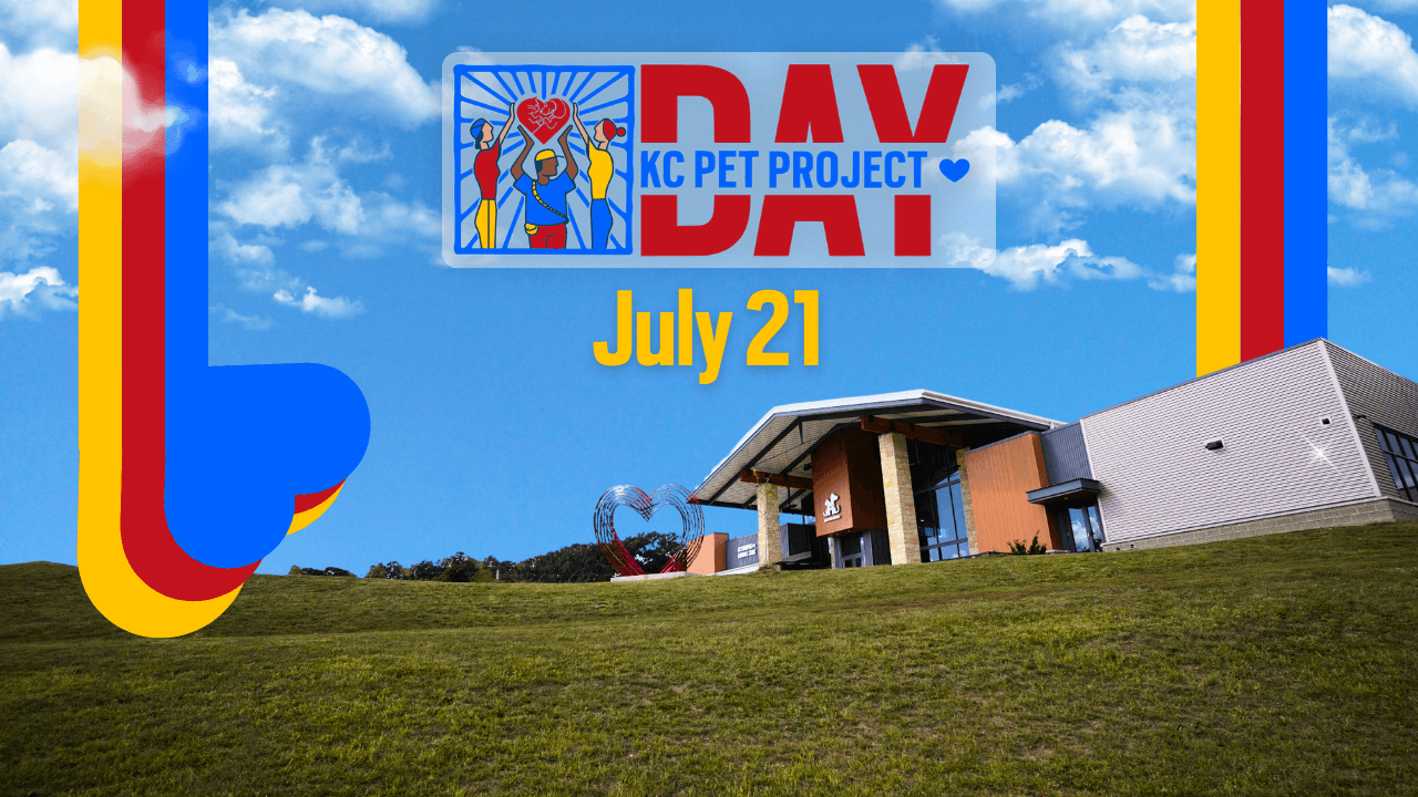 KC Pet Project Day July 21